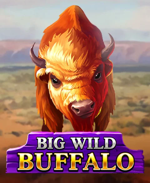 Play Big Wild Buffalo at High Stakes Mania Casino